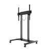 Suporte Motorizado M Floorstand 60Kg Black