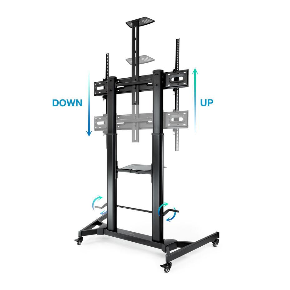 Suporte de Chão Zeus para TV 60-100