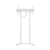 Suporte Motorizado Floorbase 60Kg White