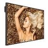 Benq SL6502K 4K Smart Signage 65