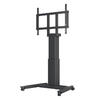 Suporte motorizado Public Floorstand 160kg Black SD