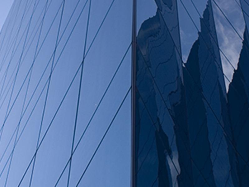 Película Interior Silver 95C