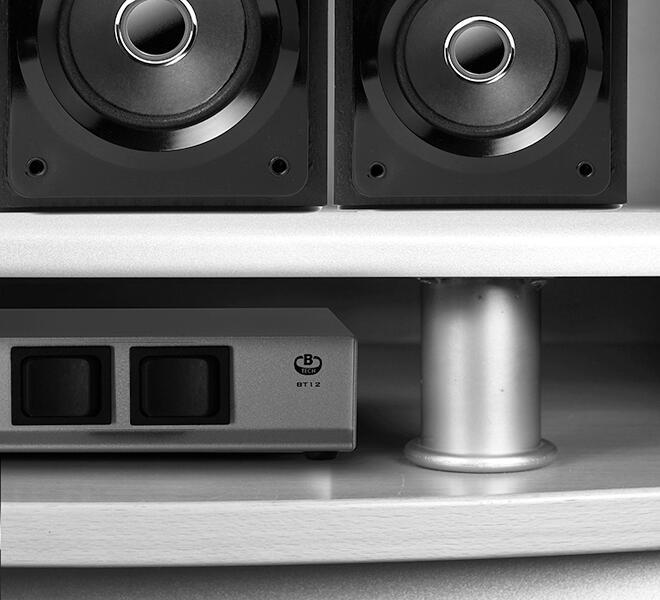 Controlo de Altifalante 2 Vias BT12